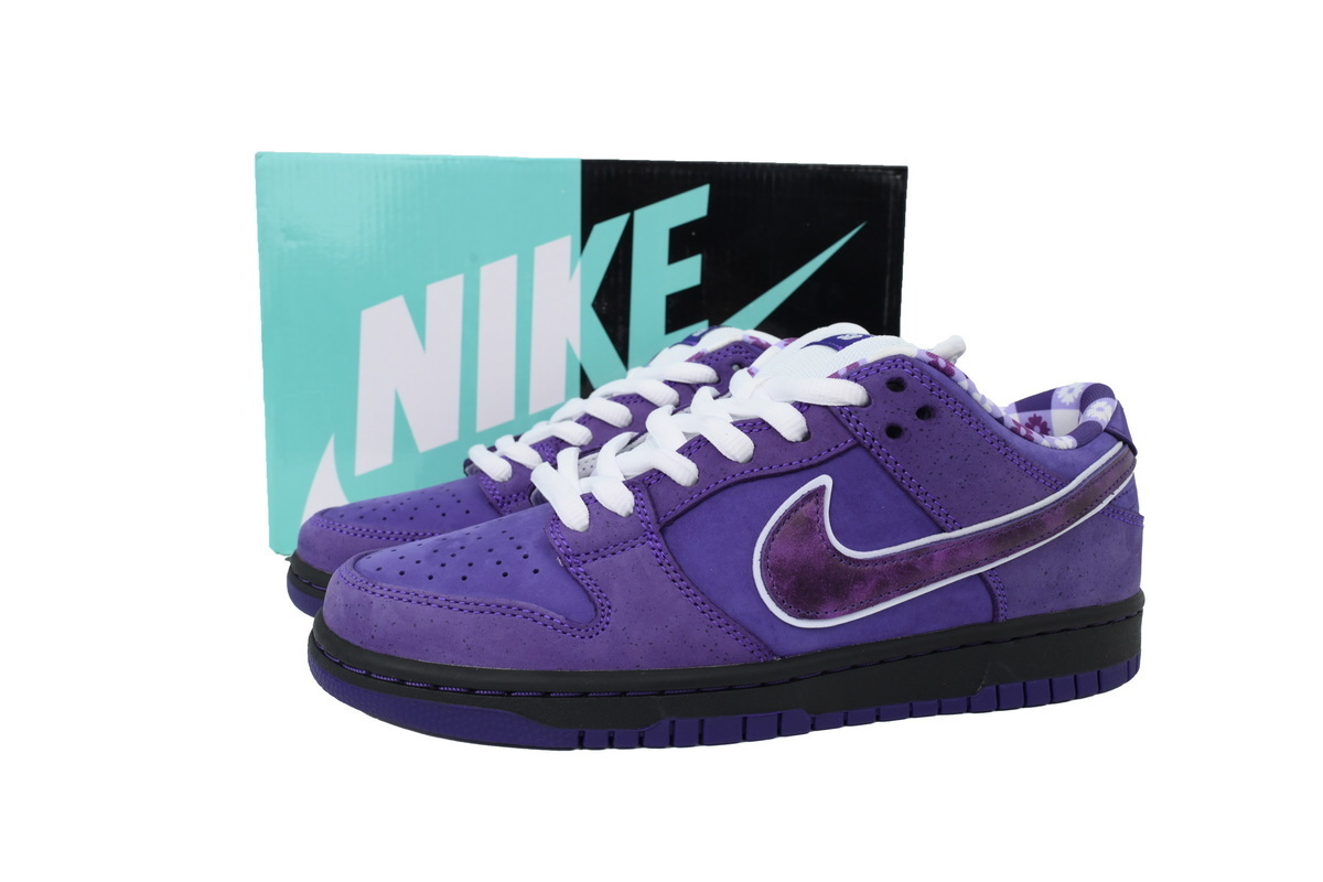 Top Version Nike Concepts x Dunk Low SB Purple Lobster BV1310-555