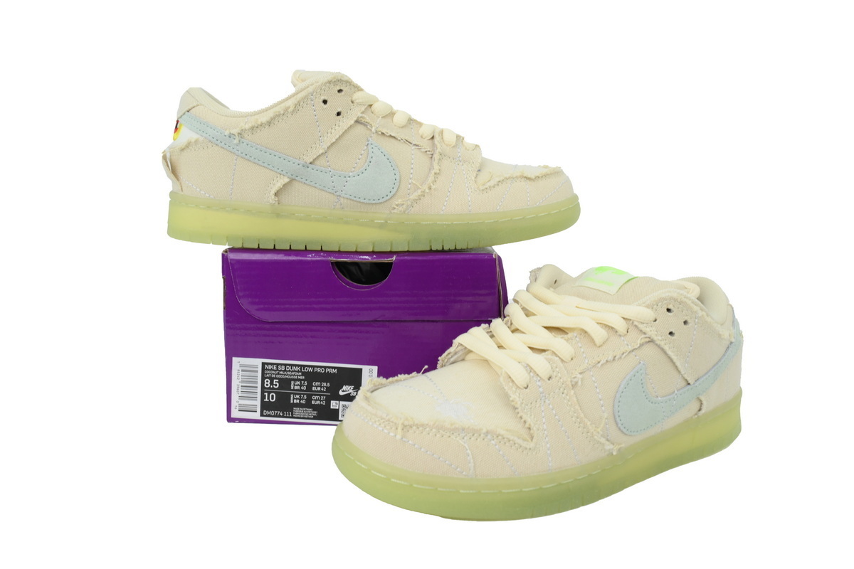 Top Version Nike Dunk Low SB Mummy DM0774-111