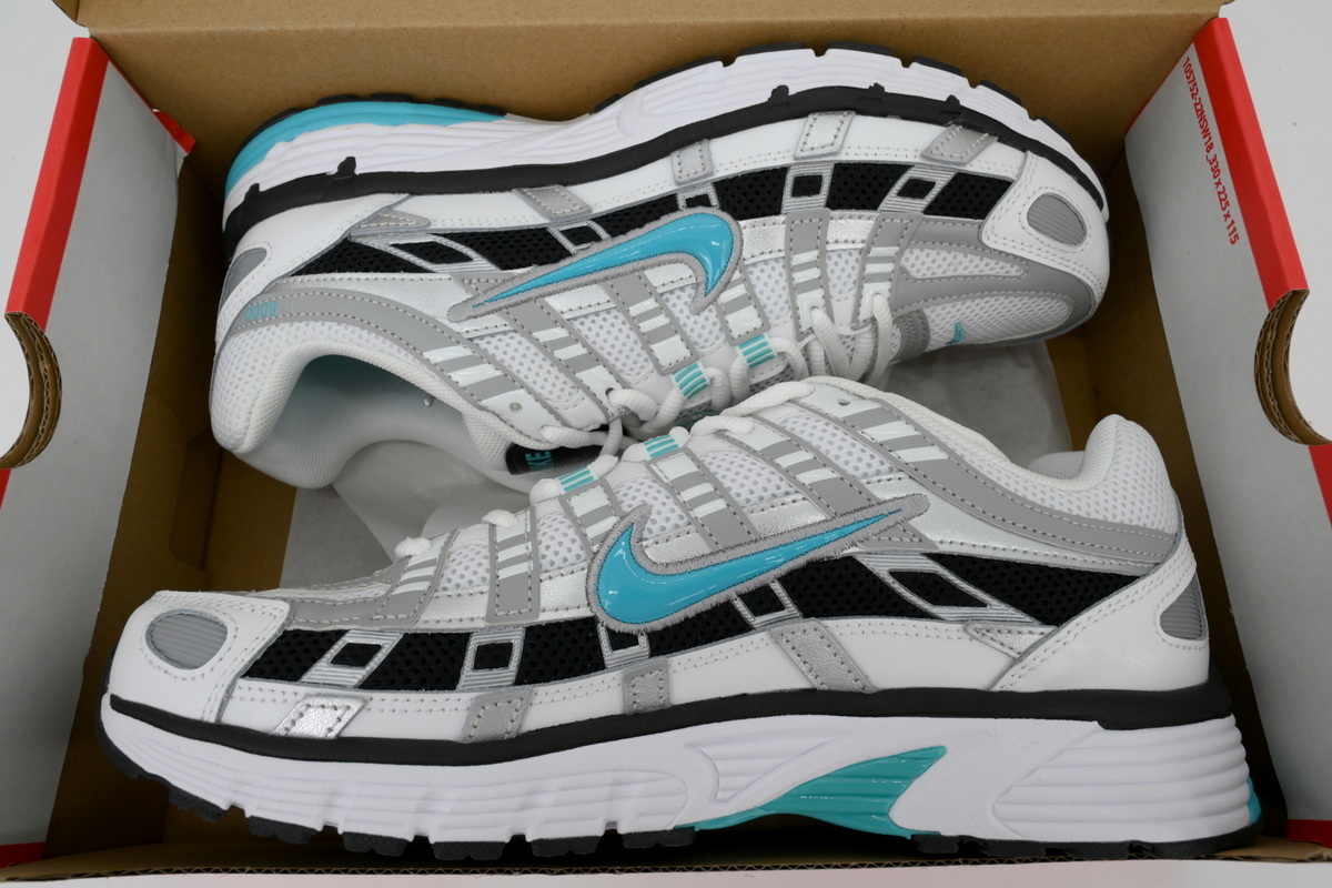 Nike P-6000 Dusty Cactus CD6404-103