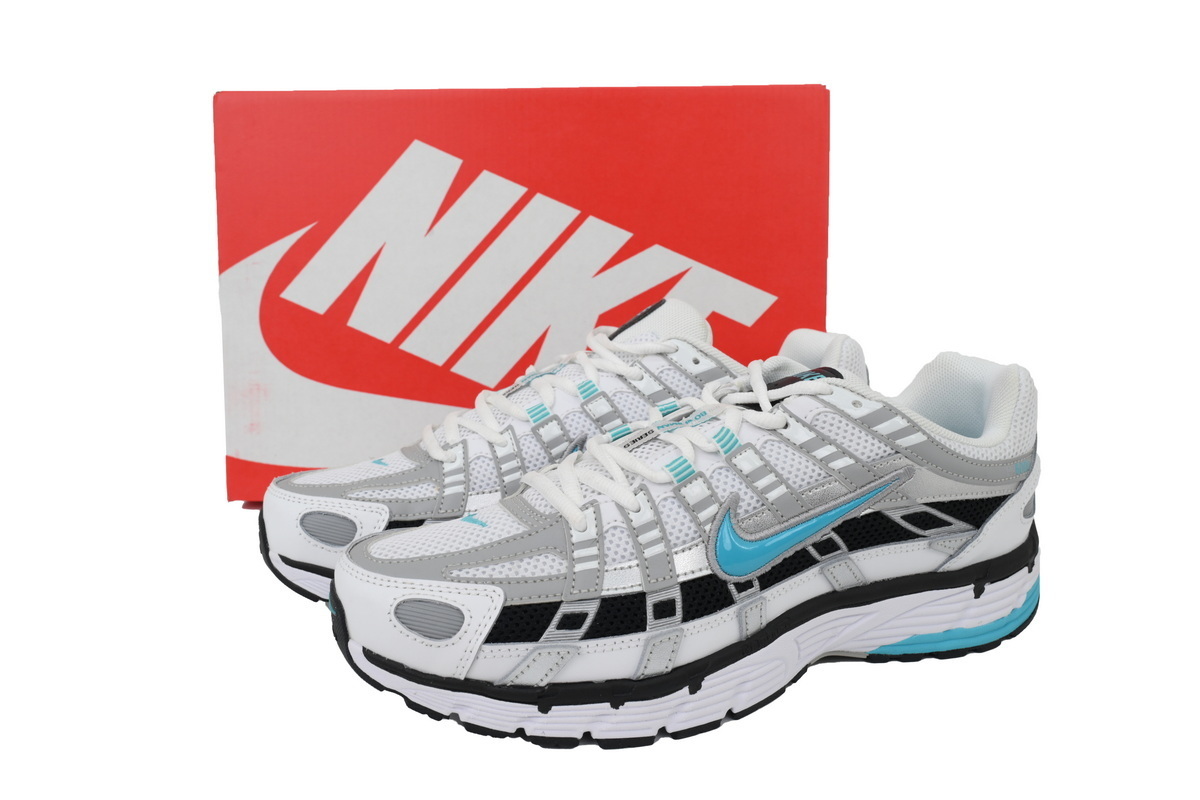 Nike P-6000 Dusty Cactus CD6404-103