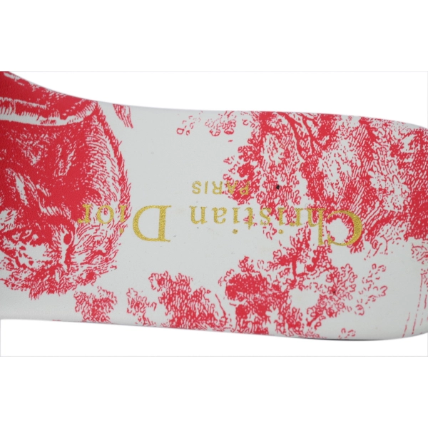 Dior Dway Slide Cloth Printed Sandals Red KCQ209DME_S79W