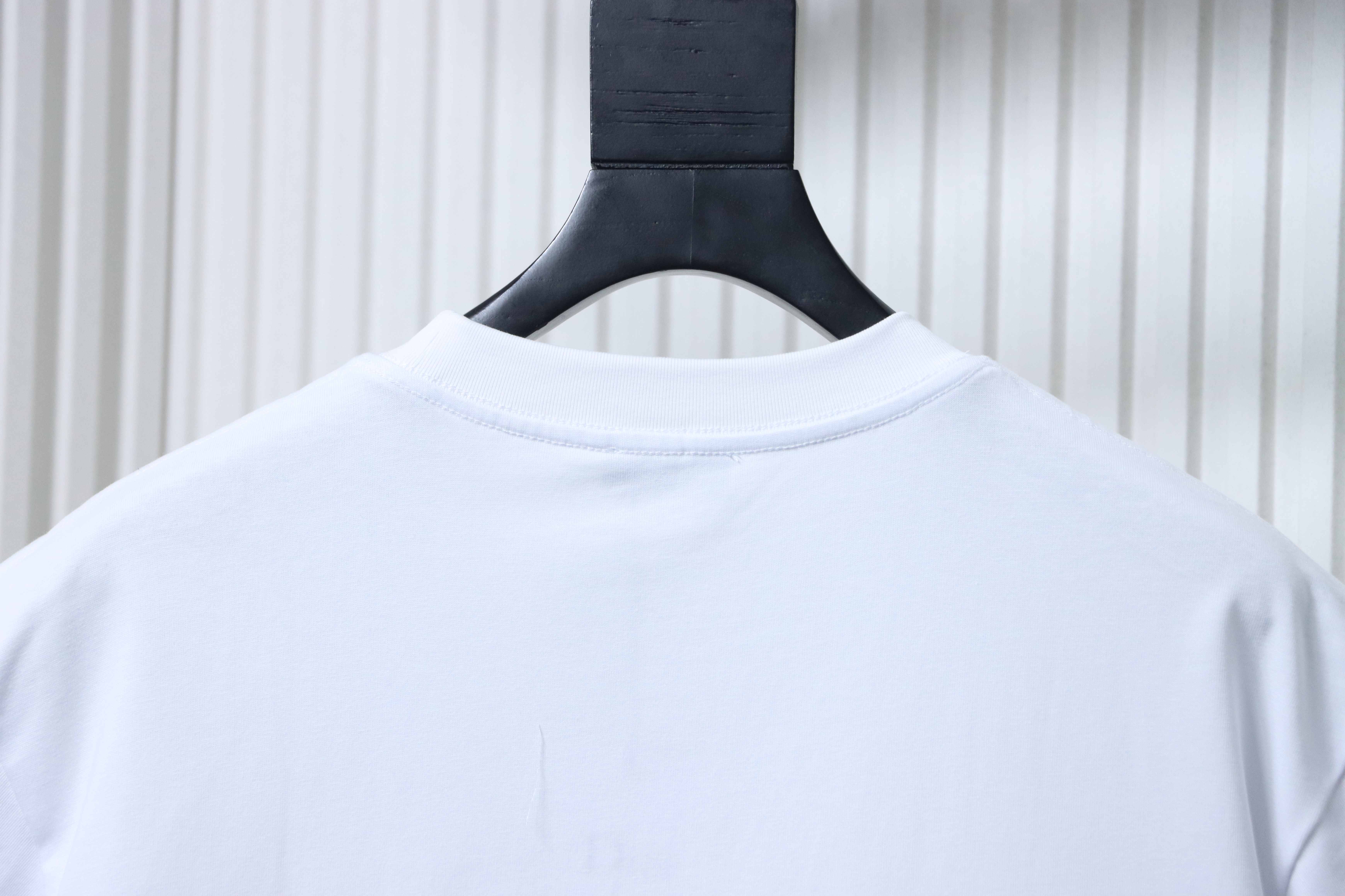 Dior 26ss CD Slogan Embroidery Logo T-shirt YL White