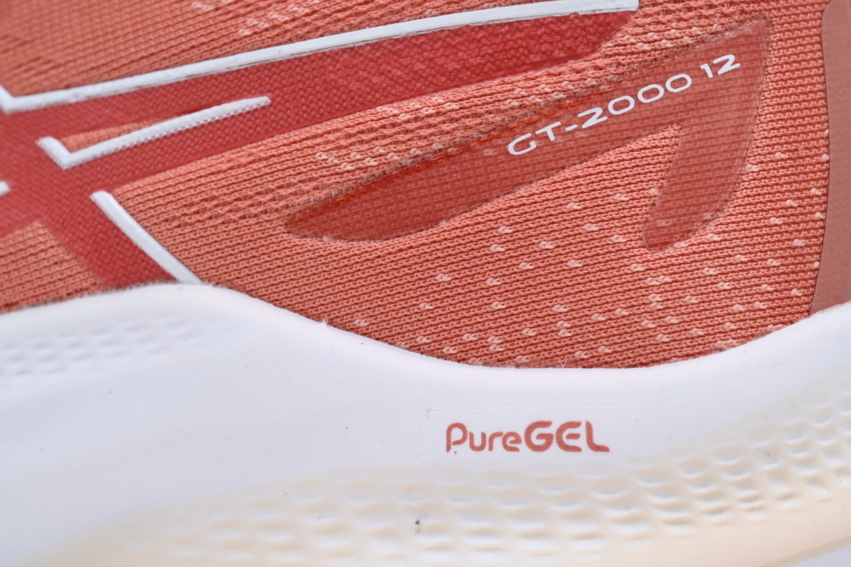 Asics GT 2000 12 'Light Garnet' 1012B506-600