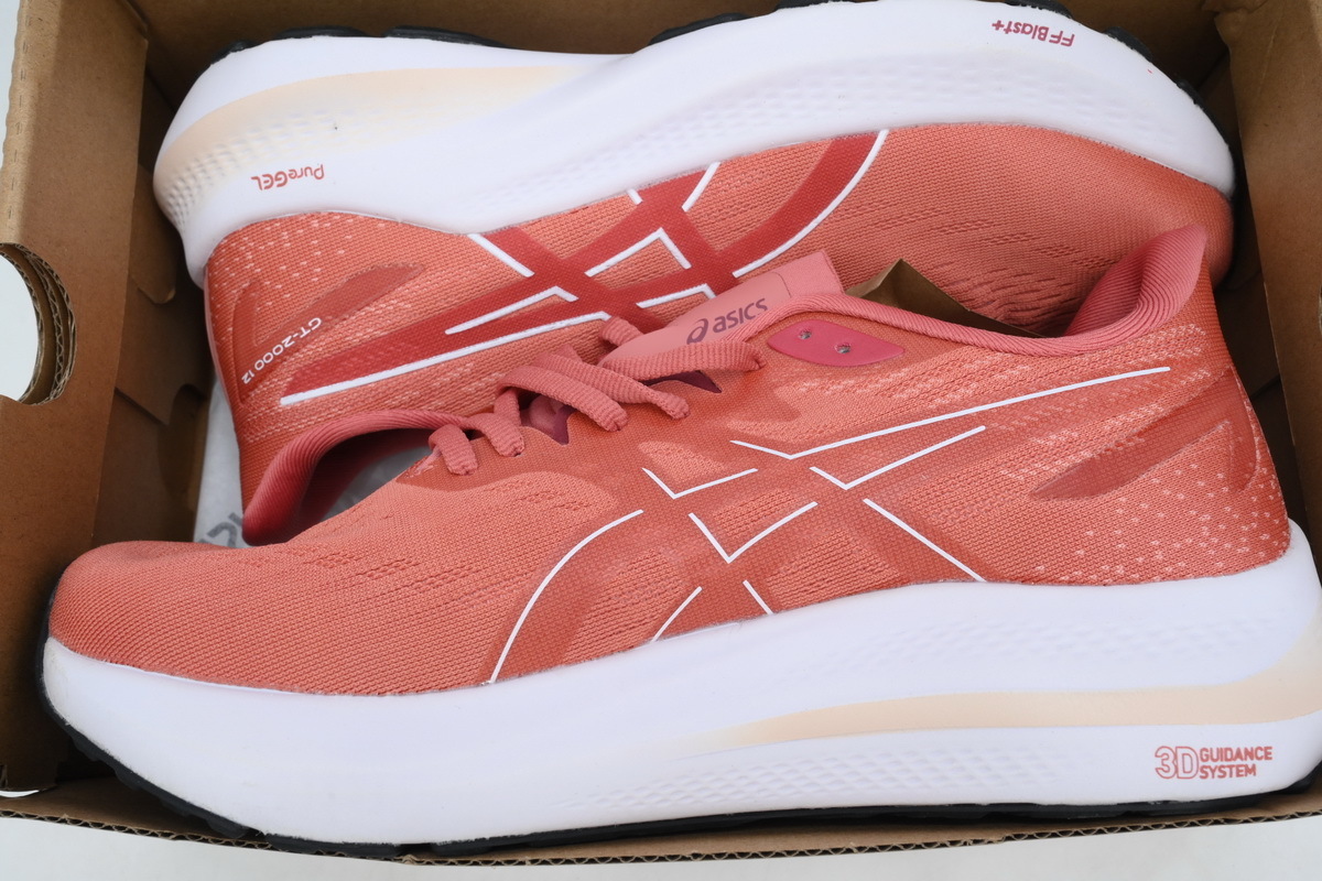 Asics GT 2000 12 'Light Garnet' 1012B506-600