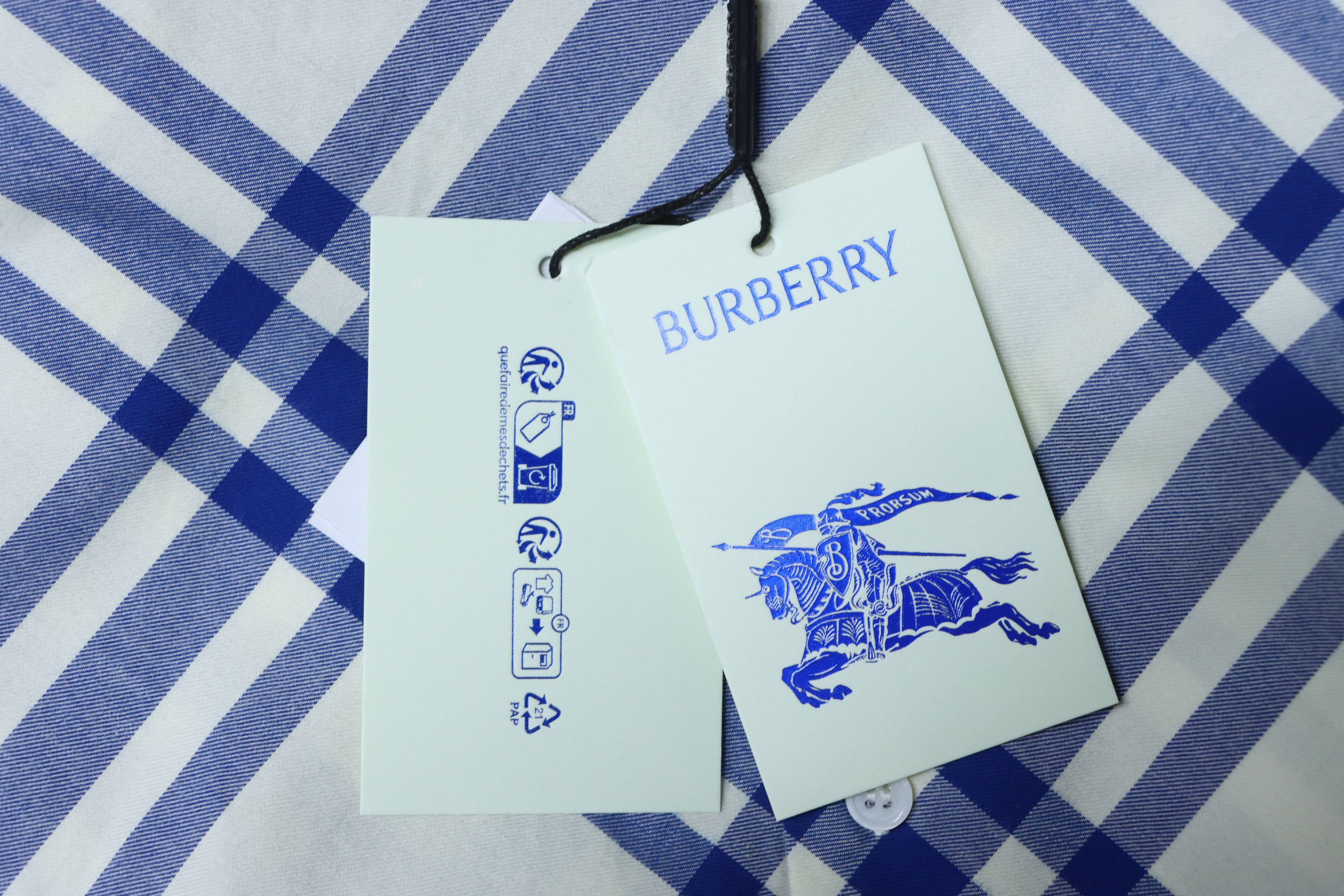 Burberry Gingham Cotton Long-Sleeve Shirt YL Blue