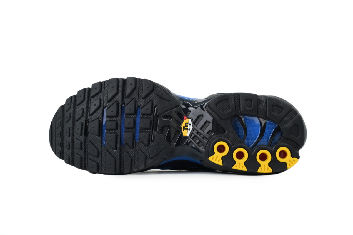 Nike Air Max Plus 'Black Blue Crystal' DM0032-041