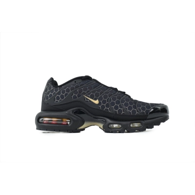 Nike Air Max Plus 'Honey' IQ0287-010 02