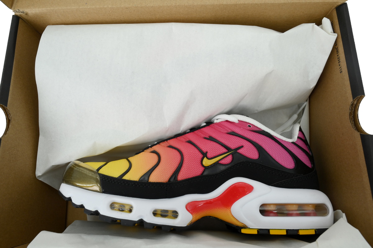 Nike Air Max Plus OG 'Gold Raspberry Red' DX0755-600