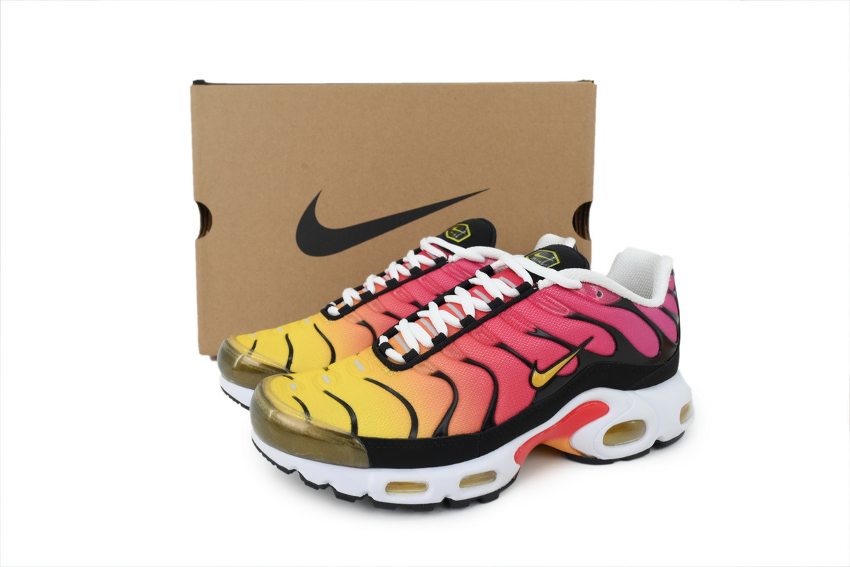 Nike Air Max Plus OG 'Gold Raspberry Red' DX0755-600
