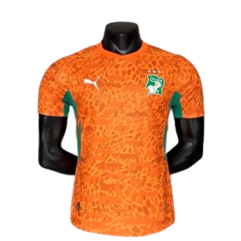 2026 Player Version Ivory Coast Jersey