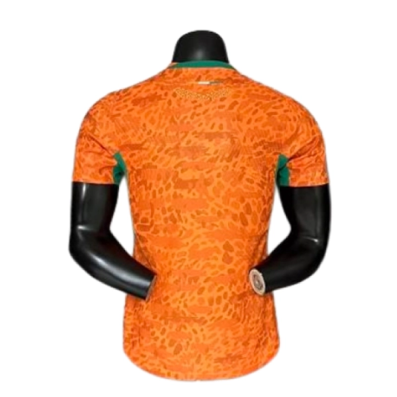 2026 Player Version Ivory Coast Jersey