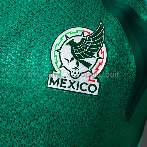 2026 Mexico Player Version Training - Green Jersey
