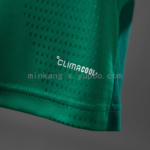2026 Mexico Player Version Training - Green Jersey