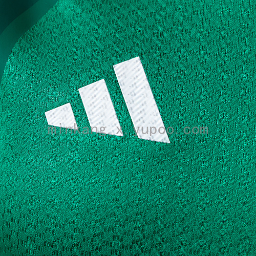 2026 Mexico Player Version Training - Green Jersey