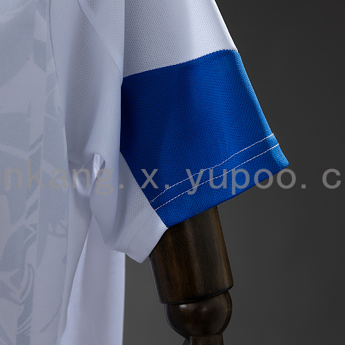 2026 Bosnia & Herzegovina Away Jersey