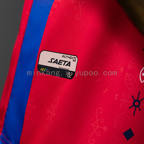 2026 Haiti Third Away Jersey