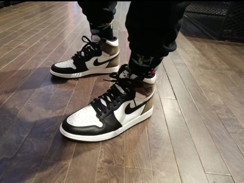 Air Jordan 1 Retro High Dark Mocha  555088-105 review 