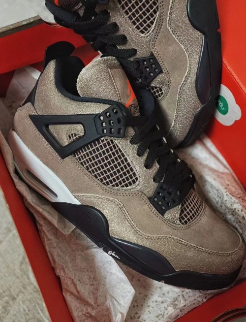 Air Jordan 4 Retro Taupe Haze DB0732-200 review 