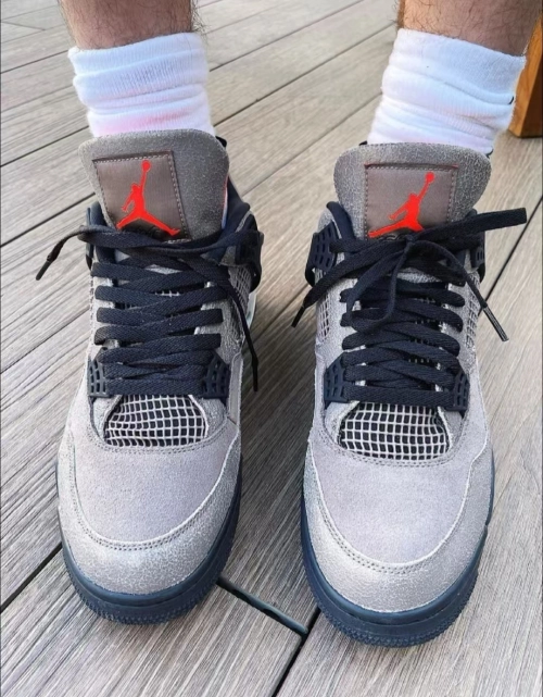 Air Jordan 4 Retro Taupe Haze DB0732-200 review 