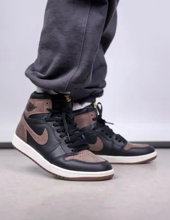 Air Jordan 1 High OG “Palomino” DZ5485-020 review Noah