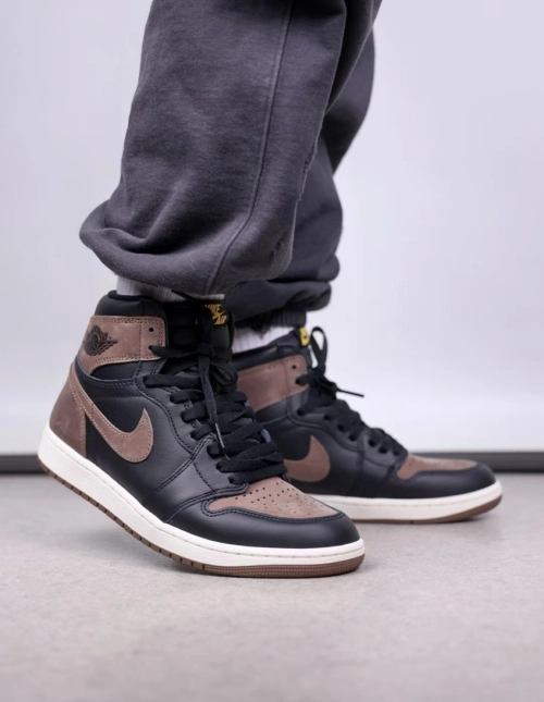 Air Jordan 1 High OG “Palomino” DZ5485-020 review 