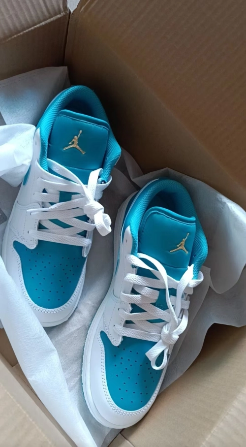 Air Jordan 1 Low Aquatone  553558-174 review 