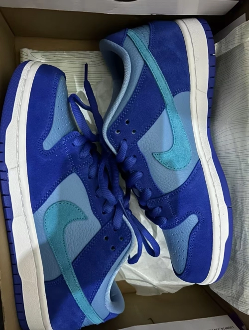 Nike SB Dunk Low Blue Raspberry DM0807-400 review 
