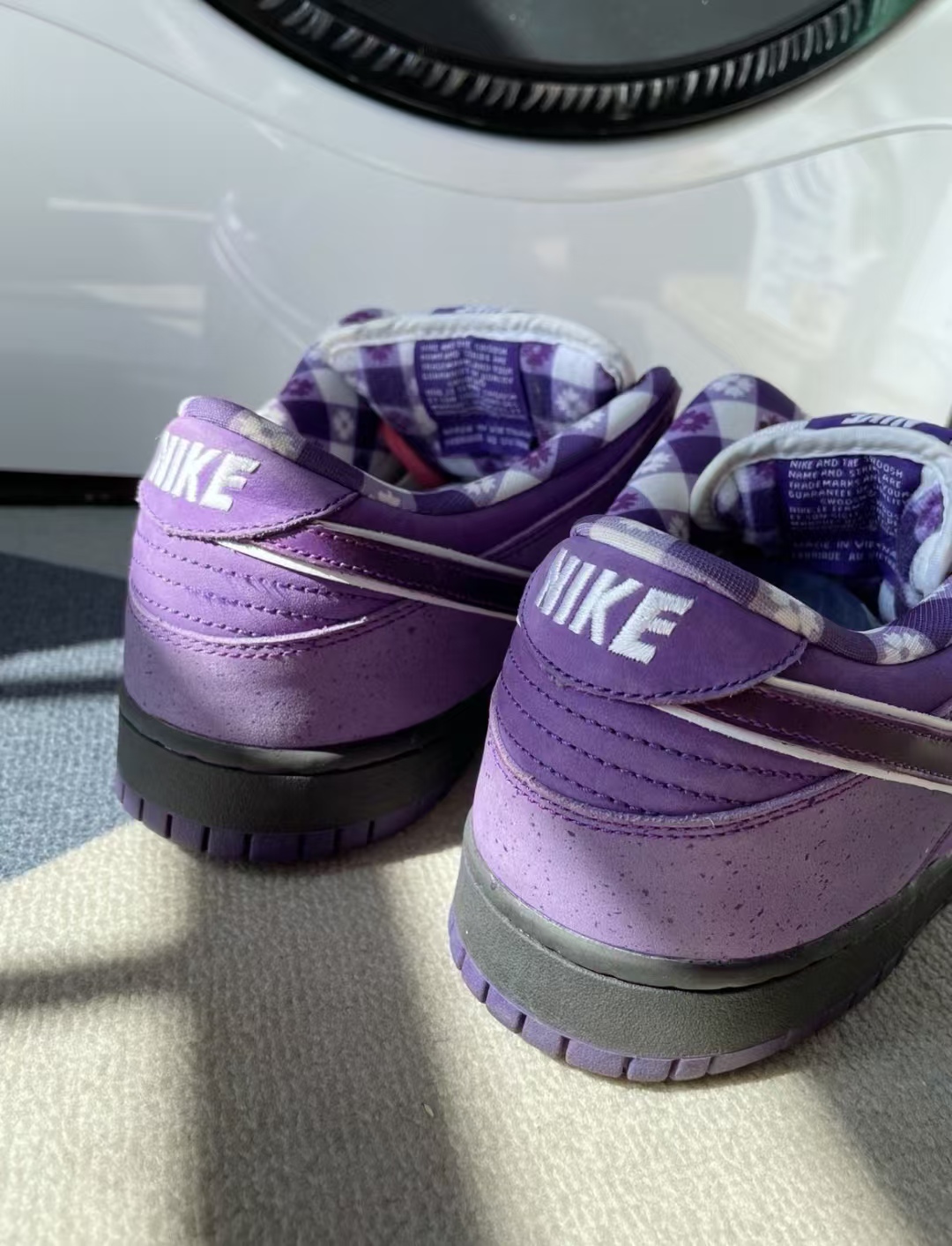 Nike SB Dunk Low Concepts Purple Lobster BV1310555 review Branwen 01