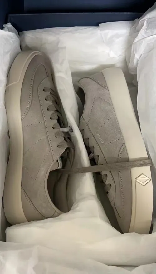 Dior B101 Greige  3SN285ZRH_H068 review 