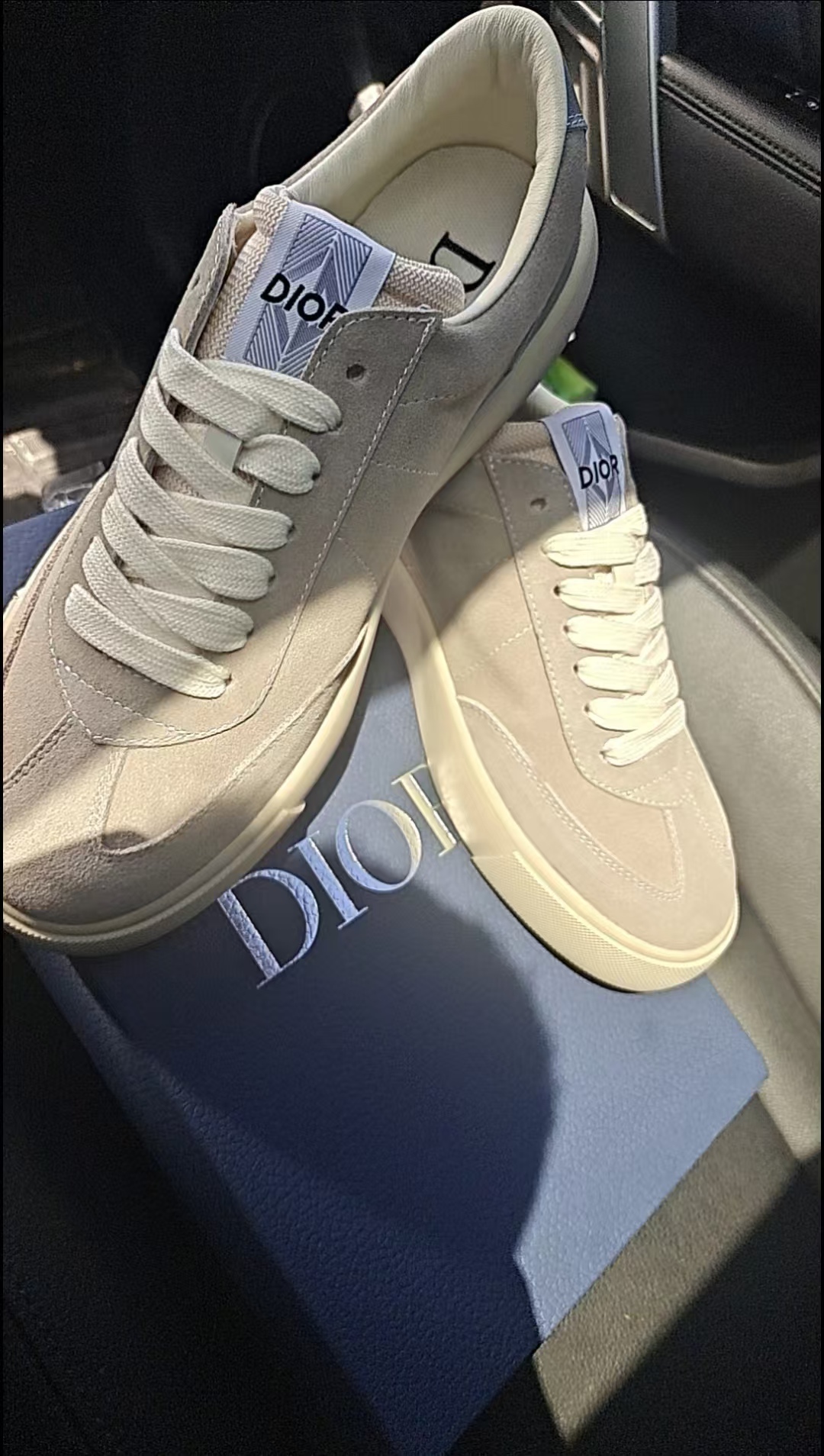 Dior B101 Greige  3SN285ZRH_H068 review Holly