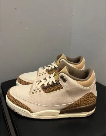 Air Jordan 3 Retro Palomino CT8532-102 review Thea 01