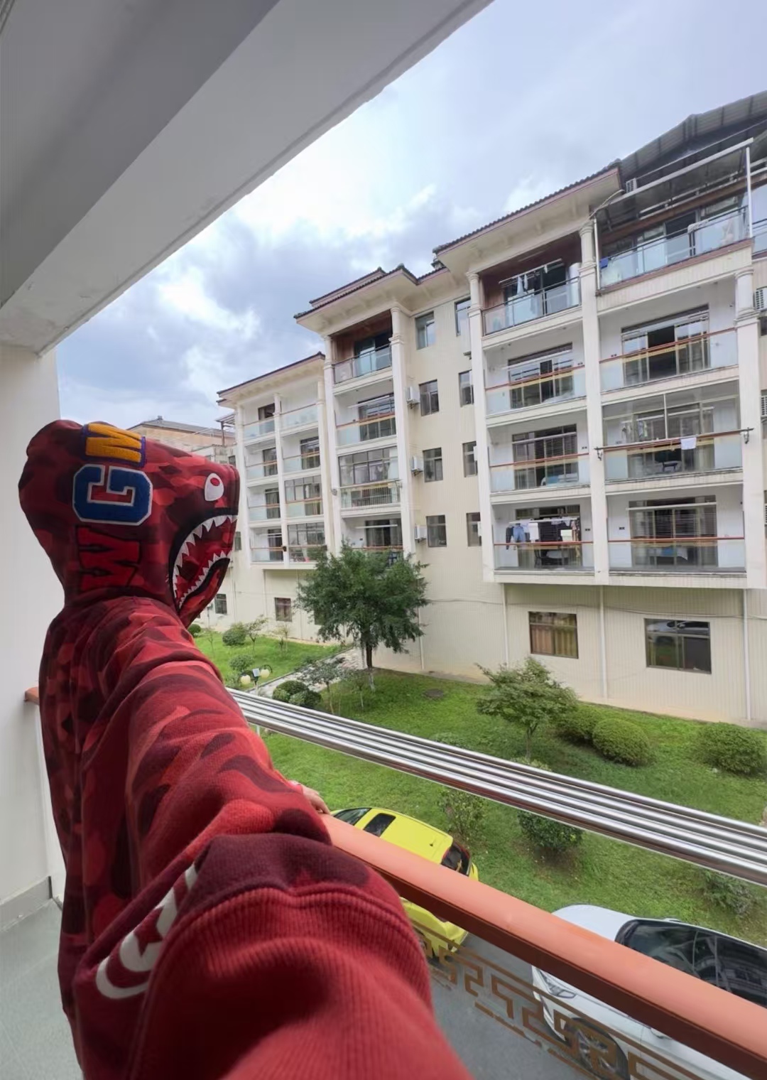 OBO  BAPE Color Camo Shark Zip Hoodie Red review Reign