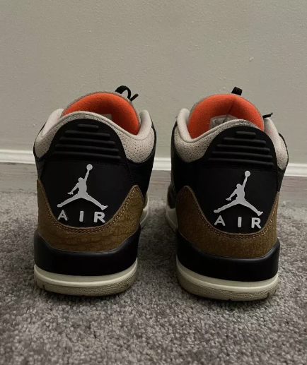 Air Jordan 3 Retro Desert Elephant CT8532-008 review Matthew McConaughey 00