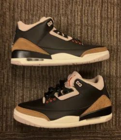 Air Jordan 3 Retro Desert Elephant CT8532-008 review Reese Witherspoon 01