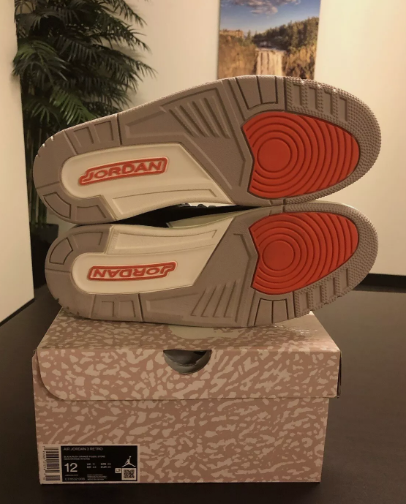 Air Jordan 3 Retro Desert Elephant CT8532-008 review Reese Witherspoon 02