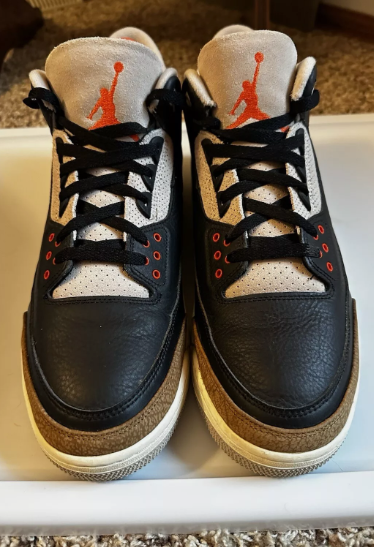 Air Jordan 3 Retro Desert Elephant CT8532-008 review Meryl Streep 01