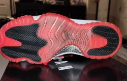 Air Jordan 11 Retro Low Concord Bred AV2187-160 review Andrew Jackson 02