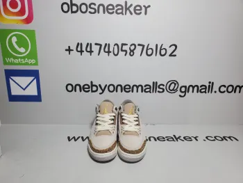 Air Jordan 3 Retro Palomino CT8532-102 review obosneaker 02