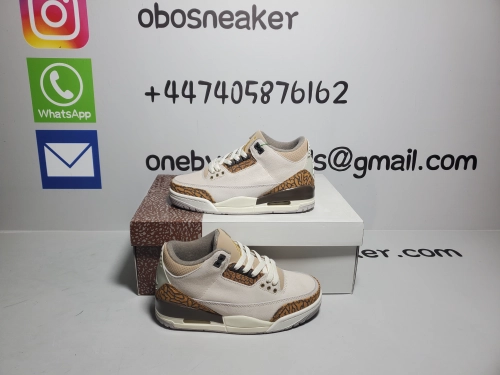 Air Jordan 3 Retro Palomino CT8532-102 review 