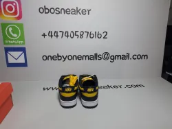 Nike Dunk Low Michigan (2021) DD1391-700 review obosneaker 01