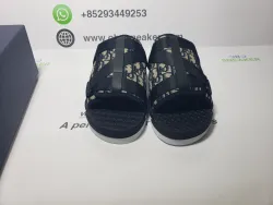 Dior Alpha Sandal Oblique 3SA081YXV_H961 review obosneaker 03