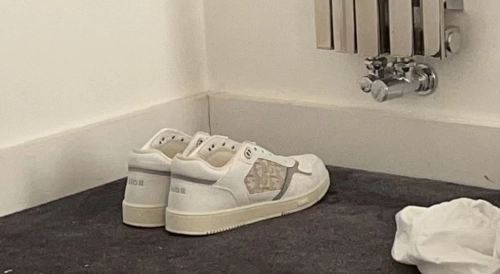 Dior B27 Low White Gray review 