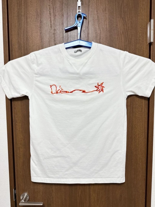 Dior Art Embroidered Letters Short Sleeve White review 