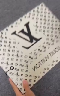 Louis Vuitton Trainer Black Blue  GO1220 review Sears