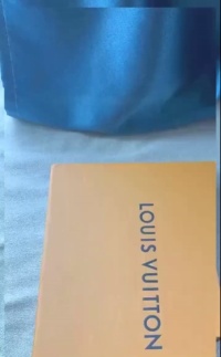 Louis Vuitton Trainer #54 Signature White Green 1ABNIS review Abra