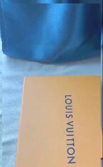 Louis Vuitton Trainer #54 Signature White Green 1ABNIS review Abra