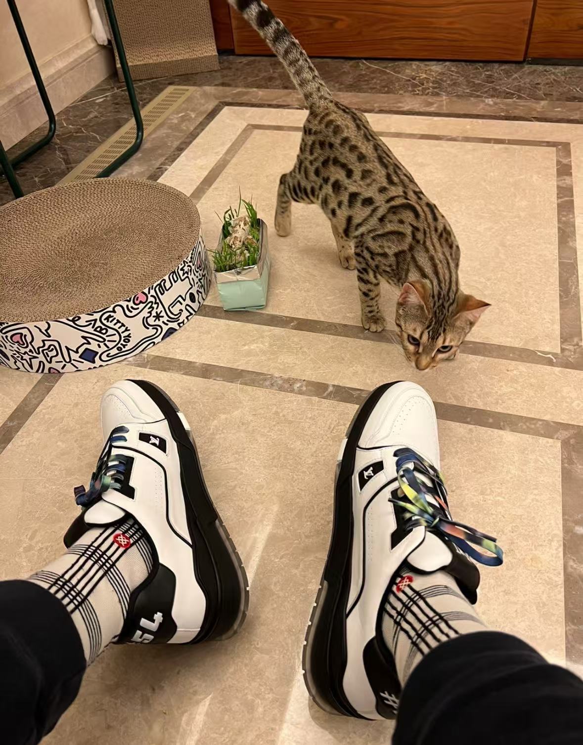 Louis Vuitton LV Trainer Black White 1A9ADA review Al