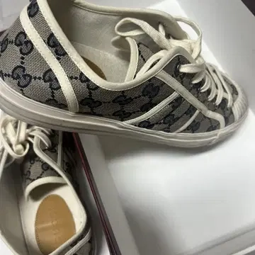 GUCCI Canvas Sneakers Shell Grey review 