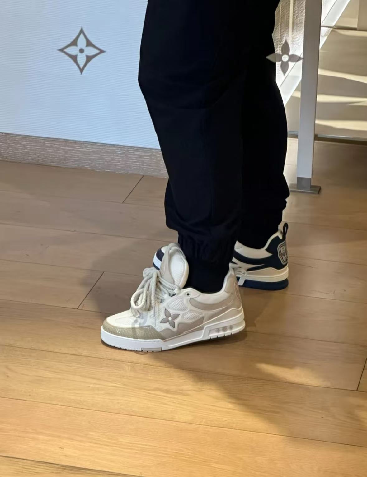 Louis Vuitton LV Skate Sneaker Beige White  1AARQH review dgjh