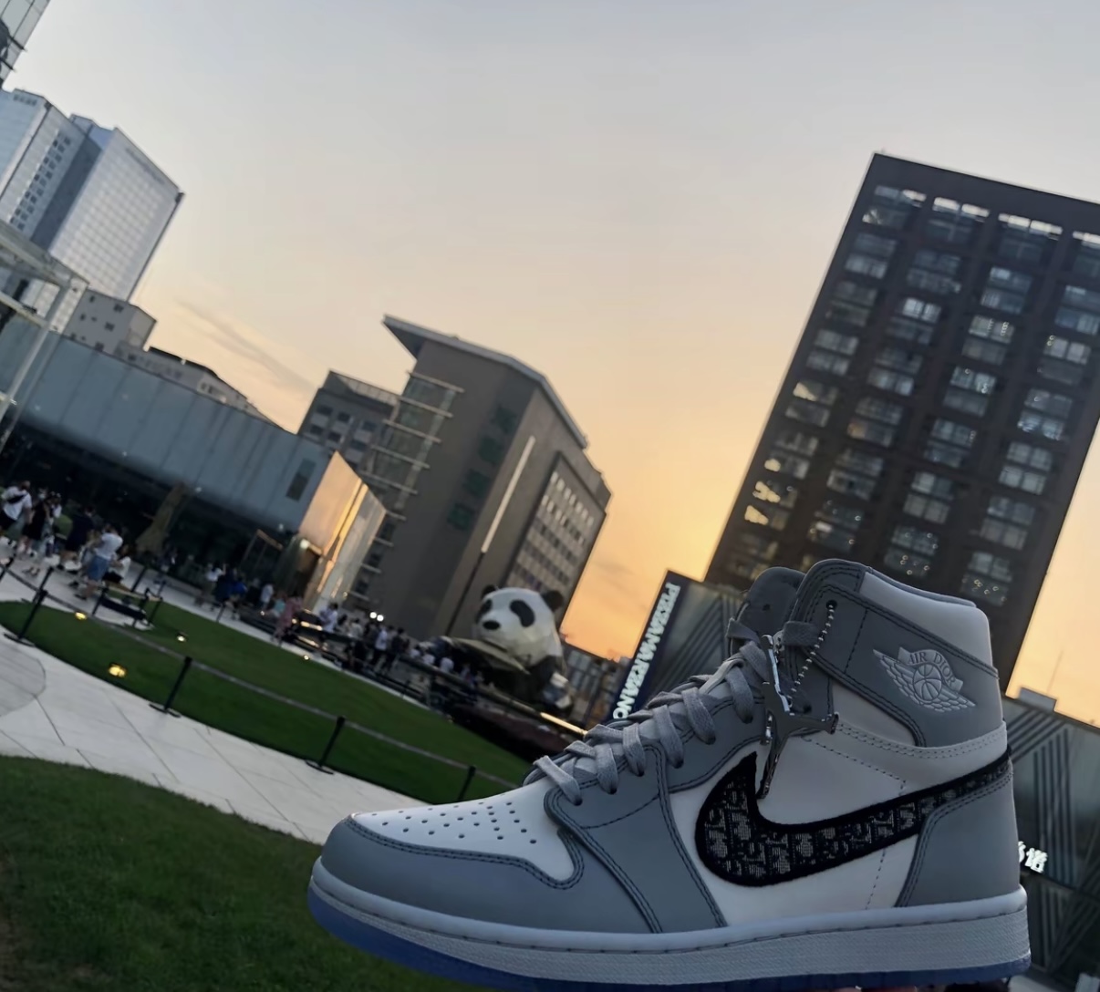 Air Jordan 1 Retro High Dior CN8607-002  review Santiago Vasquez